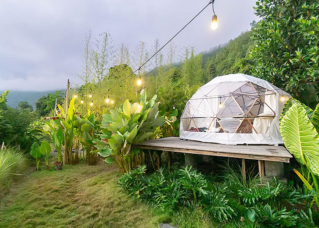 The 7 Best Glamping Site in Bali Image